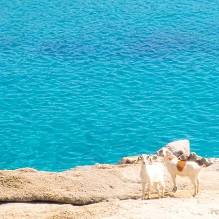 Casa de Férias Sunny Getaway In Lia Mykonos